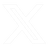X Icon